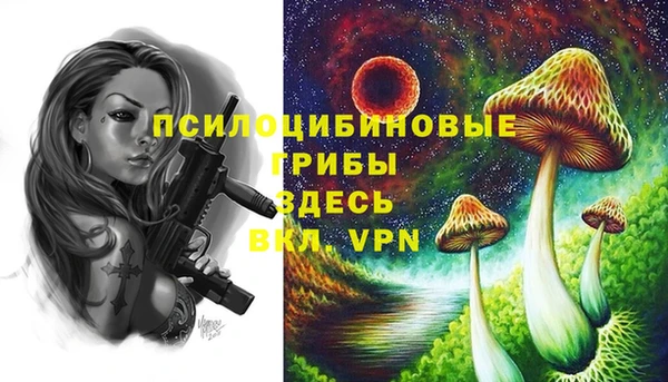 марки nbome Абаза