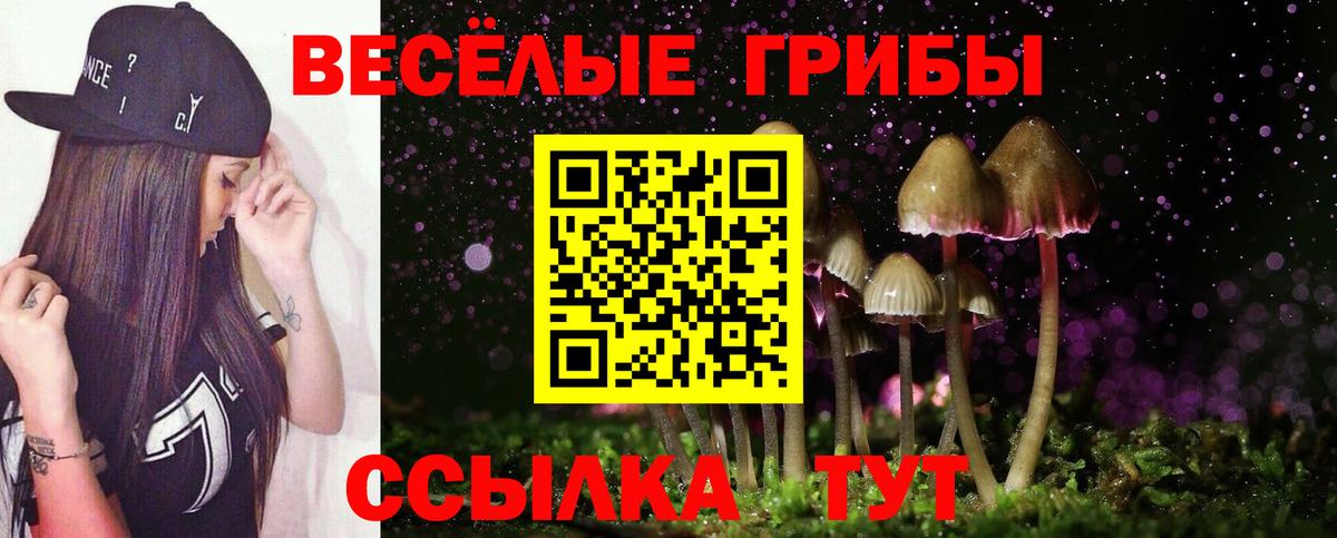 Псилоцибиновые грибы прущие грибы Усолье-Сибирское